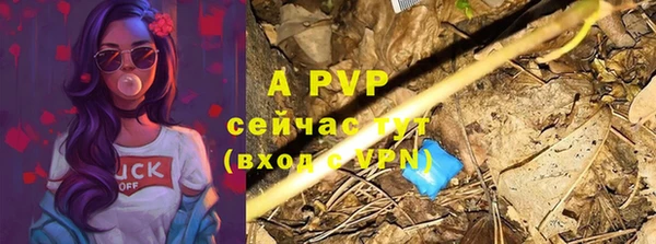 прущие грибы Покровск