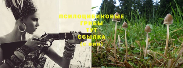 винт Арсеньев